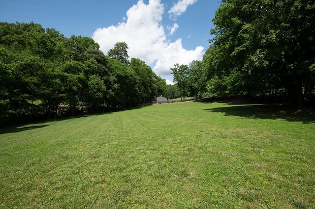 2878 Fly Rd, Santa Fe, TN 38482 - view of green lawn