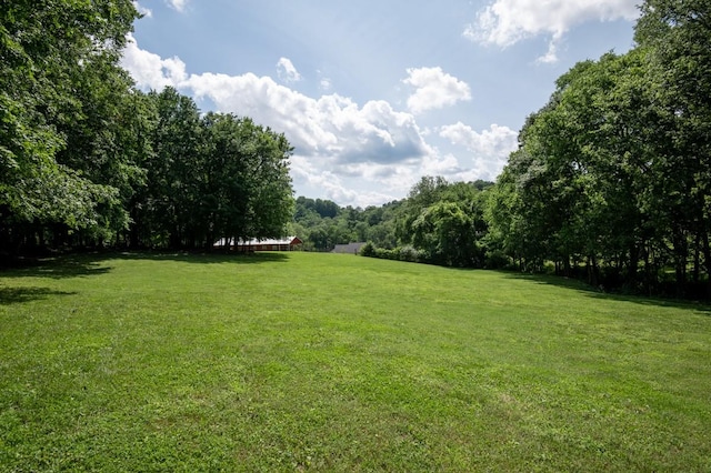 2878 Fly Rd, Santa Fe, TN 38482 - view of green lawn