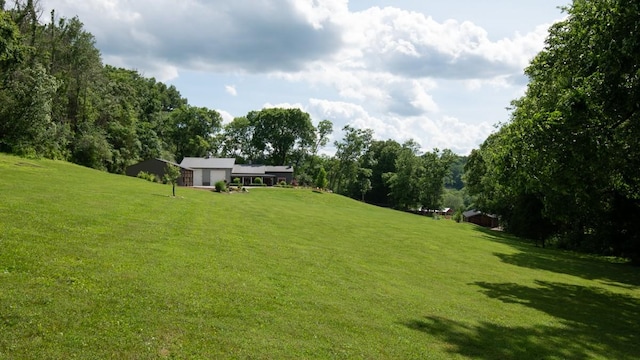 2878 Fly Rd, Santa Fe, TN 38482 - view of green lawn featuring a garage