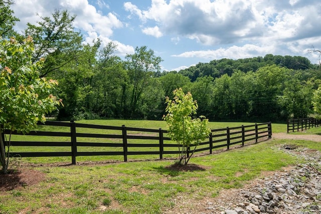 2878 Fly Rd, Santa Fe, TN 38482 - view of yard with a view of rural / pastoral area