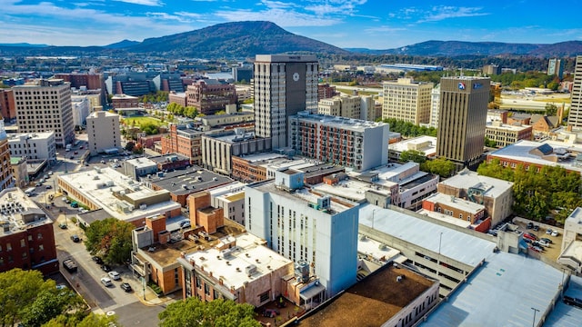 117 E 7th St Unit 902, Chattanooga, TN 37402 - city view featuring a mountain backdrop