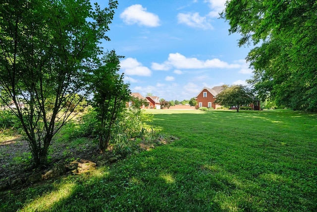 502 Tarver Ct, Smyrna, TN 37167 - view of grassy yard