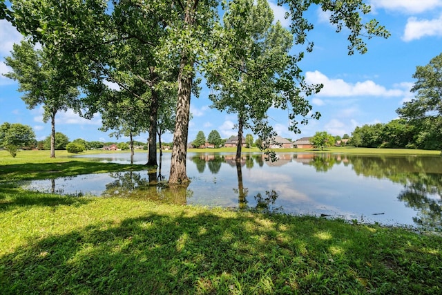 502 Tarver Ct, Smyrna, TN 37167 - water view
