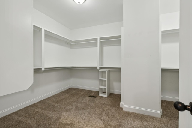 3317 Clovercroft Dr, Murfreesboro, TN 37130 - walk in closet with carpet
