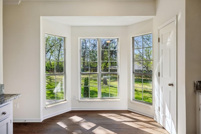 808 Split Oak Ct, Antioch, TN 37013 - doorway to outside featuring dark wood-style flooring, plenty of natural light, and baseboards