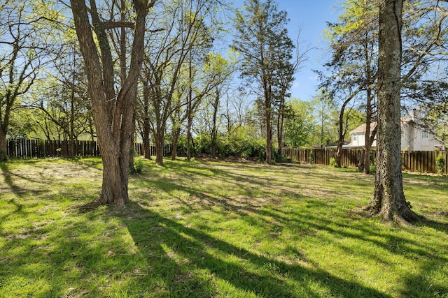 808 Split Oak Ct, Antioch, TN 37013 - view of yard