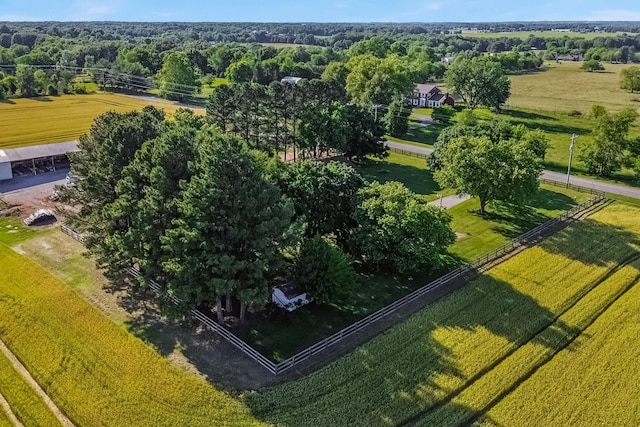 8801 Cedar Grove Rd, Cross Plains, TN 37049 - bird's eye view