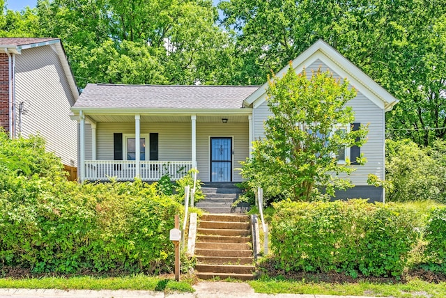 515 Poston St, Clarksville, TN 37040 - photo 6