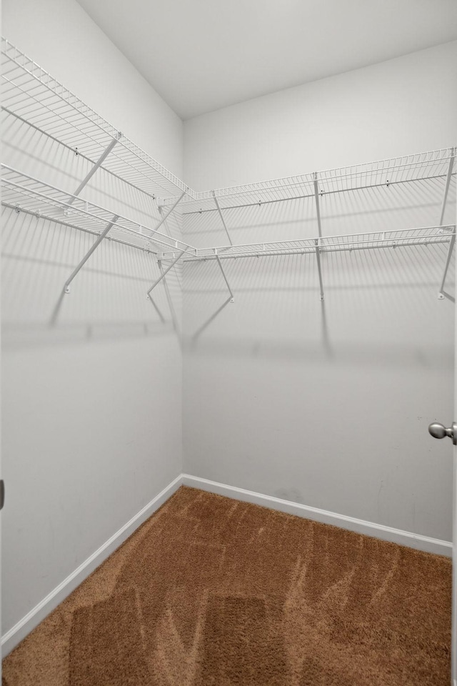 778 Prominence Rd, Columbia, TN 38401 - spacious closet with carpet floors