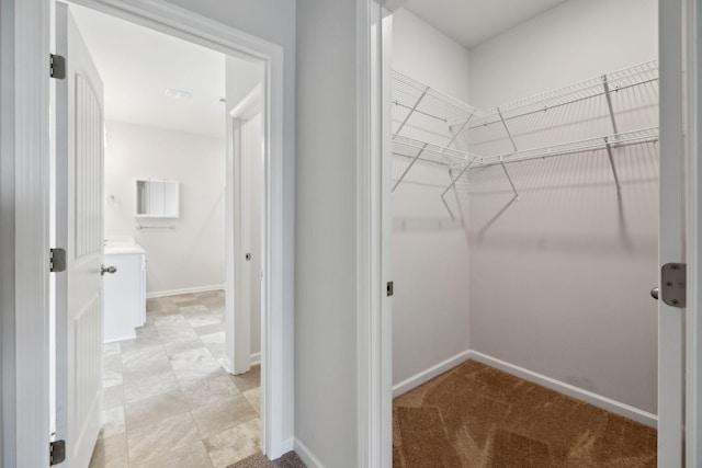 778 Prominence Rd, Columbia, TN 38401 - view of walk in closet
