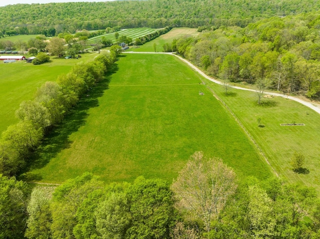 388 Charlie Roberts Rd, Pelham, TN 37366