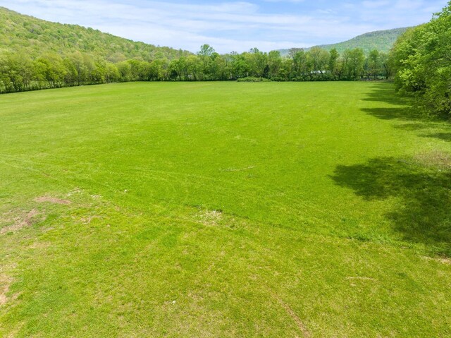 388 Charlie Roberts Rd, Pelham, TN 37366