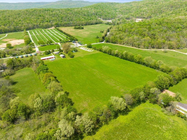 388 Charlie Roberts Rd, Pelham, TN 37366