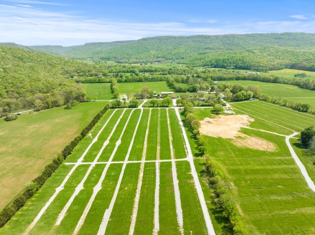 388 Charlie Roberts Rd, Pelham, TN 37366
