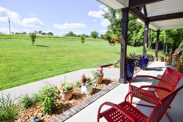421 Marlin Ln, Westmoreland, TN 37186 - view of patio / terrace