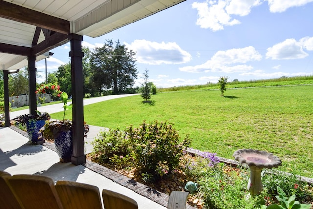 421 Marlin Ln, Westmoreland, TN 37186 - view of grassy yard