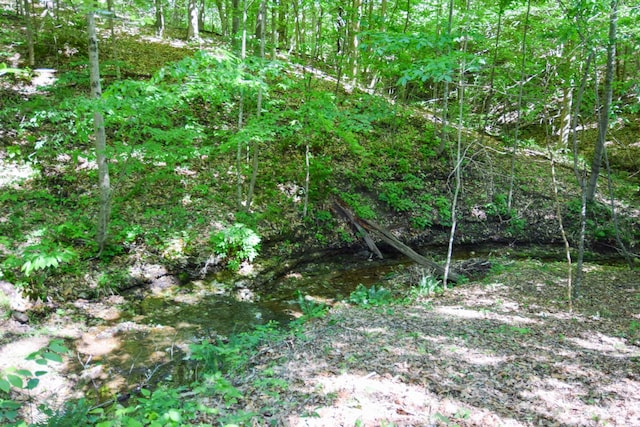 421 Marlin Ln, Westmoreland, TN 37186 - view of nature