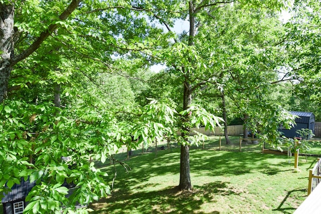421 Marlin Ln, Westmoreland, TN 37186 - view of yard