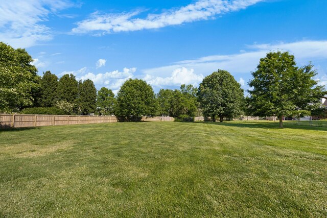 1010 Trevor Dr, Clarksville, TN 37043 - photo 47