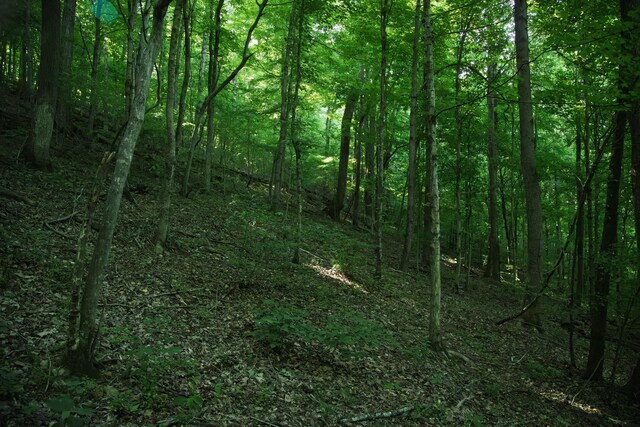 0 Jacobs Rd, Columbia, TN 38401 - photo 18
