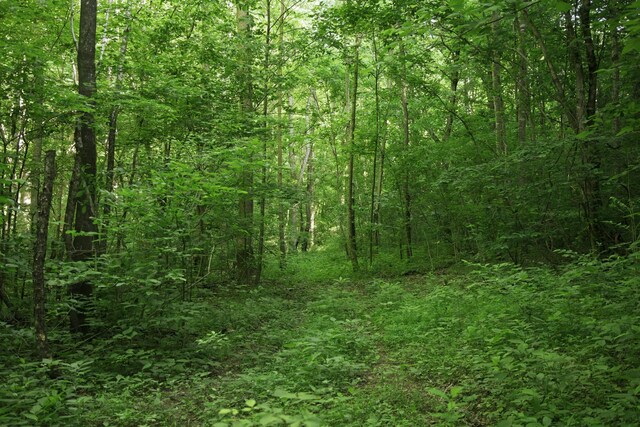 0 Jacobs Rd, Columbia, TN 38401 - photo 11