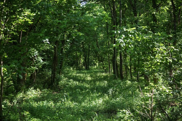0 Jacobs Rd, Columbia, TN 38401 - photo 8