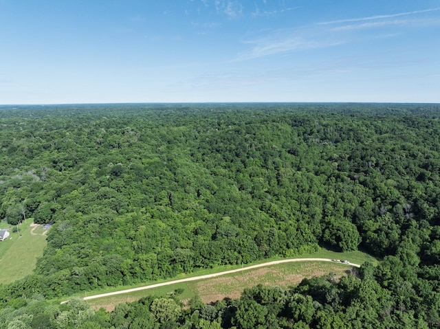 0 Jacobs Rd, Columbia, TN 38401 - photo 2