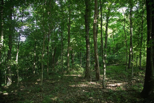0 Jacobs Rd, Columbia, TN 38401 - photo 21