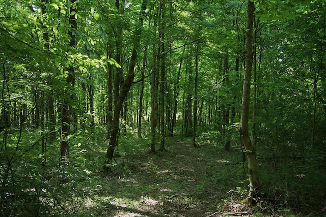 0 Jacobs Rd, Columbia, TN 38401 - photo 15