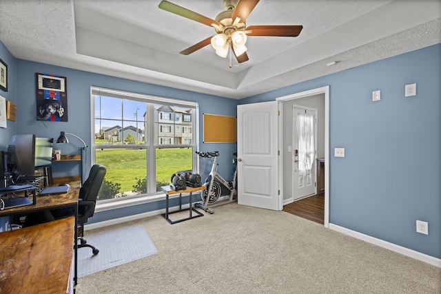 305 Jerry Butler Dr, La Vergne, TN 37086 - carpeted office space with a raised ceiling, a ceiling fan, healthy amount of natural light, a textured ceiling, and baseboards