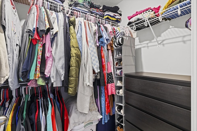 305 Jerry Butler Dr, La Vergne, TN 37086 - view of walk in closet