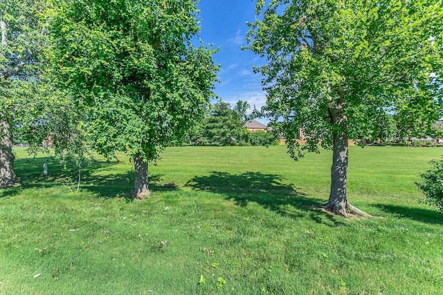 411 Royal Xing, Franklin, TN 37064 - view of grassy yard