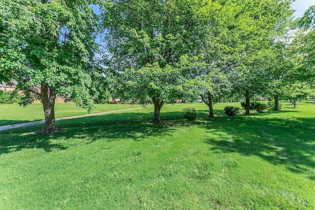 411 Royal Xing, Franklin, TN 37064 - view of grassy yard