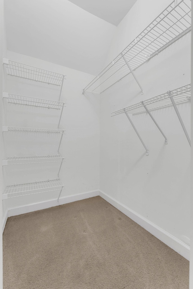411 Royal Xing, Franklin, TN 37064 - spacious closet featuring carpet