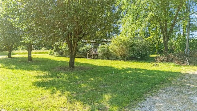 0 Ez Ln, Manchester, TN 37355 - view of green lawn