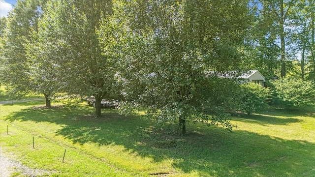 0 Ez Ln, Manchester, TN 37355 - view of grassy yard