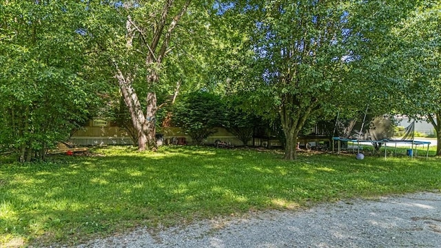 0 Ez Ln, Manchester, TN 37355 - view of green lawn featuring a trampoline