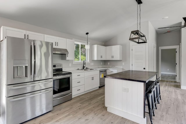 120 E Boiling Springs Rd E, Portland, TN 37148 - kitchen with appliances with stainless steel finishes, under cabinet range hood, a sink, light wood finished floors, and white cabinetry