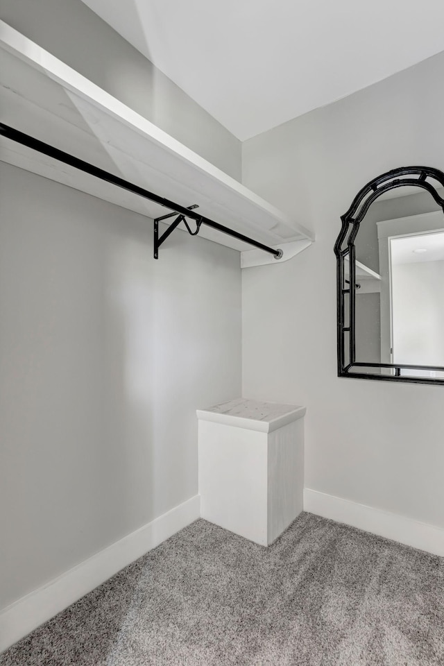 120 E Boiling Springs Rd E, Portland, TN 37148 - spacious closet featuring carpet