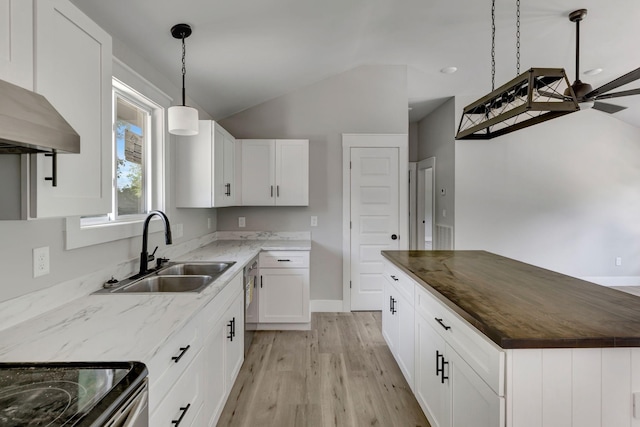 120 E Boiling Springs Rd E, Portland, TN 37148 - kitchen with a sink, lofted ceiling, light wood finished floors, range hood, and a kitchen island