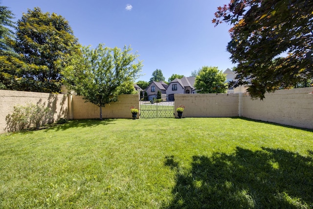 891 Fairington Pvt Way, Gallatin, TN 37066 - view of yard