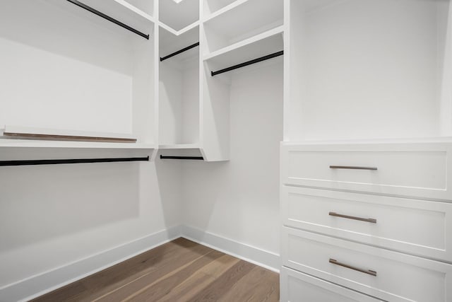 6104 Cowden Ave Unit A, Nashville, TN 37209 - walk in closet with dark wood-style floors