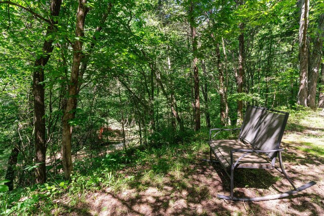 9072 Taylor Cemetery Rd, Lyles, TN 37098 - photo 20