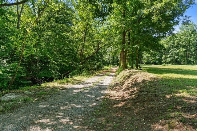 9072 Taylor Cemetery Rd, Lyles, TN 37098 - photo 25