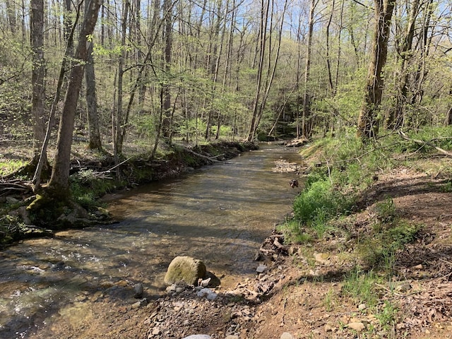 9072 Taylor Cemetery Rd, Lyles, TN 37098 - photo 41