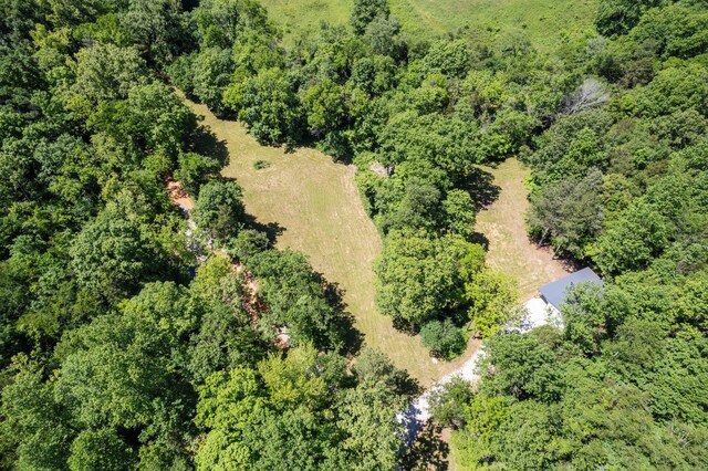 9072 Taylor Cemetery Rd, Lyles, TN 37098 - photo 34