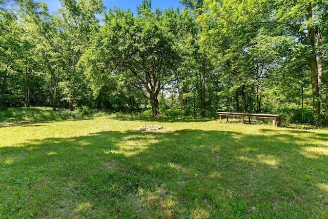 9072 Taylor Cemetery Rd, Lyles, TN 37098 - photo 27