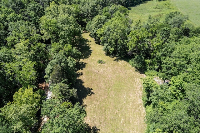 9072 Taylor Cemetery Rd, Lyles, TN 37098 - photo 33