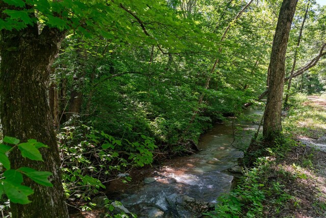 9072 Taylor Cemetery Rd, Lyles, TN 37098 - photo 24