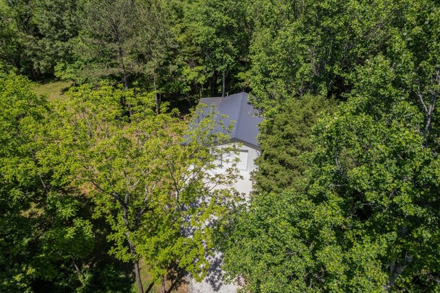 9072 Taylor Cemetery Rd, Lyles, TN 37098 - photo 37